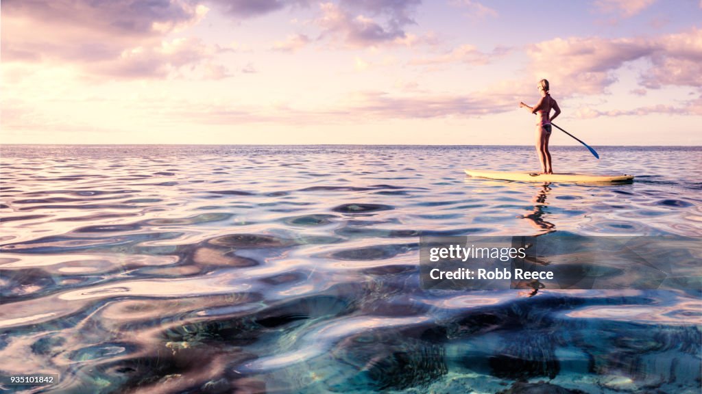 A woman on a standup paddleboard on the ocean