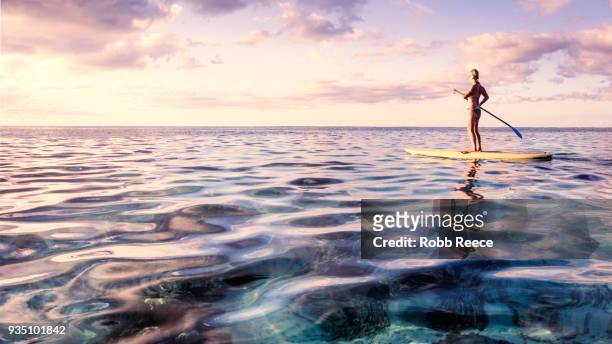 a woman on a standup paddleboard on the ocean - robb reece stock pictures, royalty-free photos & images