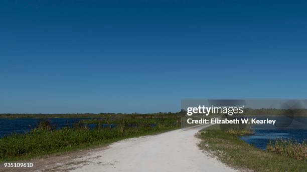 the road at esmeralda marsh - leesburg stock pictures, royalty-free photos & images
