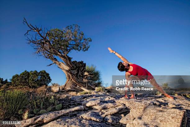 an adult woman practicing a yoga pose outdoors on a rock - robb reece stockfoto's en -beelden