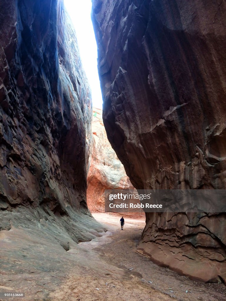 A person walking alone in a desert canyon