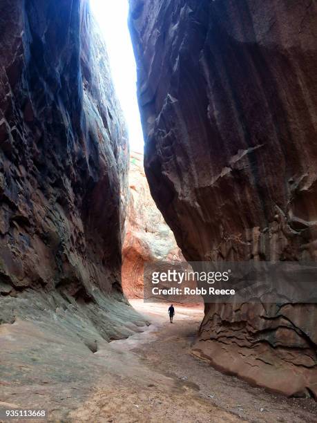 a person walking alone in a desert canyon - robb reece stockfoto's en -beelden