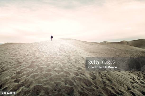 a person walking alone on a remote sand dune - robb reece stock pictures, royalty-free photos & images