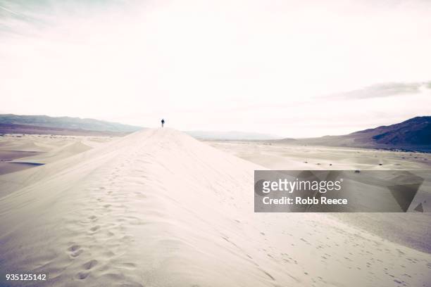 a person walking alone on a remote sand dune - robb reece stock-fotos und bilder