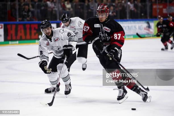 Taylor Aronson of Thomas Sabo Ice Tigers and Philip Gogulla of Koelner Haie battle for the puck during Koelner Haie and Thomas Sabo Ice Tigers DEL...