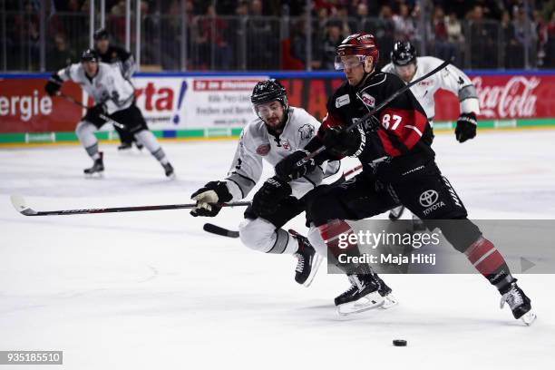 Taylor Aronson of Thomas Sabo Ice Tigers and Philip Gogulla of Koelner Haie battle for the puck during Koelner Haie and Thomas Sabo Ice Tigers DEL...