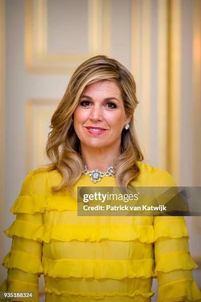 Queen Maxima of the Netherlands poses for the official picture ahead the official dinner for the King and Queen of Jordan at Palace Noordeinde on...