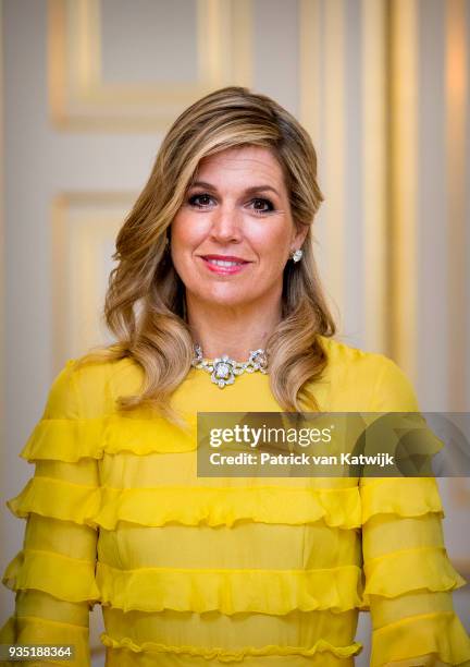 Queen Maxima of the Netherlands poses for the official picture ahead the official dinner for the King and Queen of Jordan at Palace Noordeinde on...