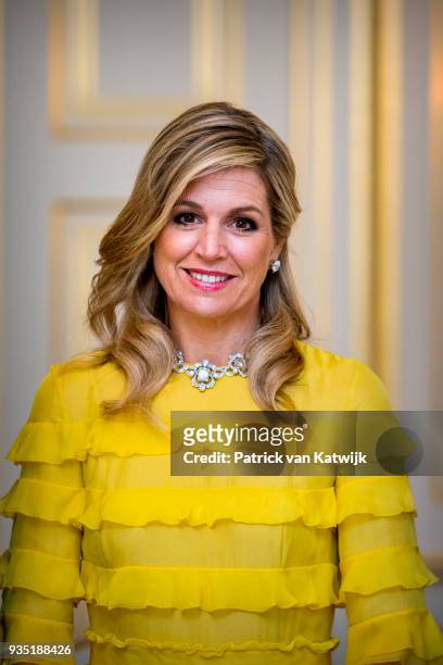 Queen Maxima of the Netherlands poses for the official picture ahead the official dinner for the King and Queen of Jordan at Palace Noordeinde on...