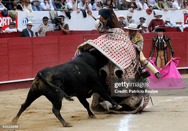 The picador is gored during a bullfight at the Monumental bullring as part of Quito's Fair 2009 Jesus del Gran Poder on November 30, 2009 in Quito,...