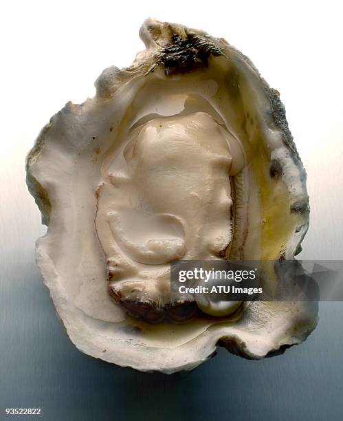 pearl in oyster - oyster pearl stockfoto's en -beelden