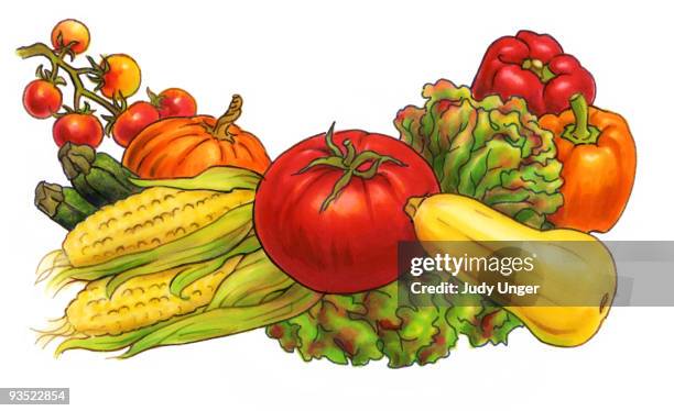 watercolor vegetables - red bell pepper white background stock illustrations