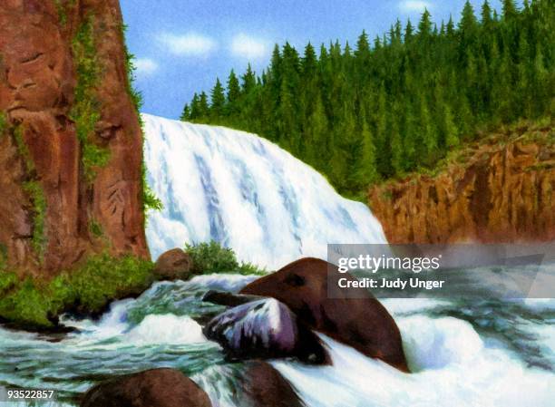 stockillustraties, clipart, cartoons en iconen met waterfall in the forest - waterval