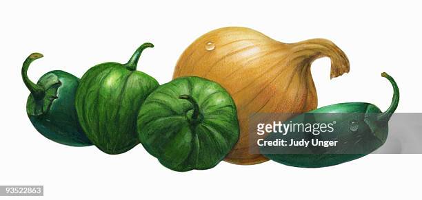 ilustraciones, imágenes clip art, dibujos animados e iconos de stock de salsa verde ingredients - judy unger