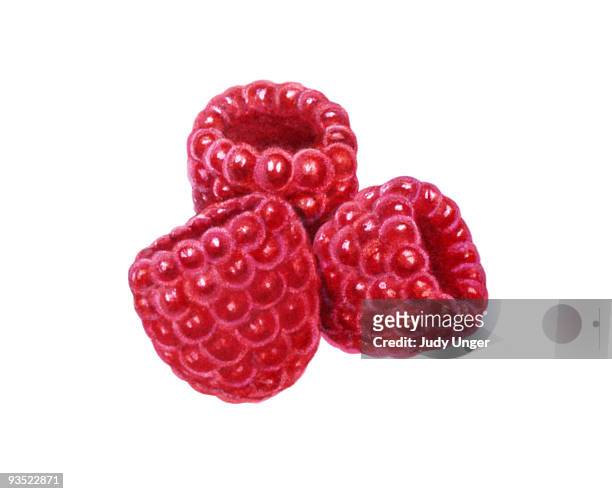 three raspberries. - beere obst stock-grafiken, -clipart, -cartoons und -symbole