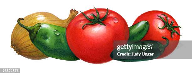 salsa ingredients, tomato, peppers and onion. - food white background stock illustrations