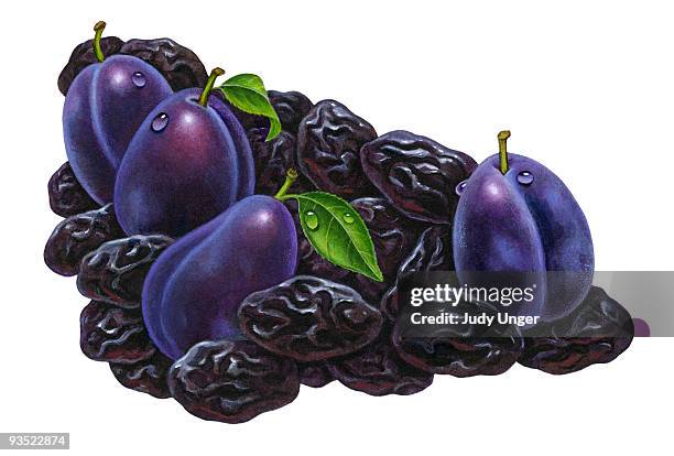 fresh prunes & plums - dried food stock illustrations