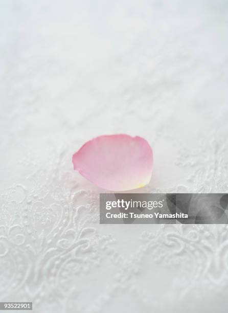 petal on race cloth - petal stock pictures, royalty-free photos & images
