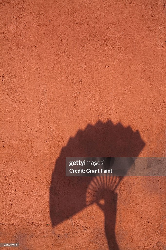 Shadow of woman holding chinese fan