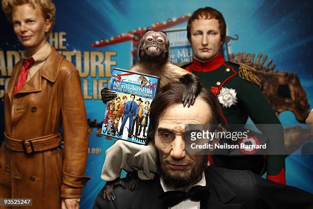 Crystal the Capuchin Monkey attends the unveiling of a new exhibit in celebration of the Blu-ray and DVD release of "Night at the Museum: Battle of...