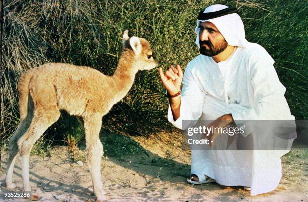 Mohmmaed Rashed Prince Rashed Photos and Premium High Res Pictures - Getty Images