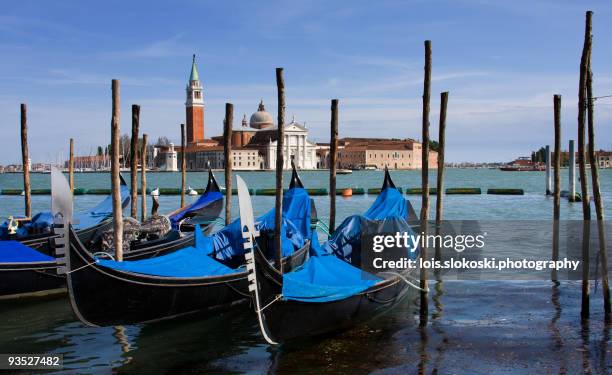 la laguna di venezia - laguna di venezia 個照片及圖片檔