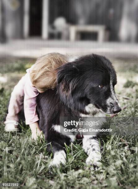 girl hugging dog - one baby girl only bildbanksfoton och bilder