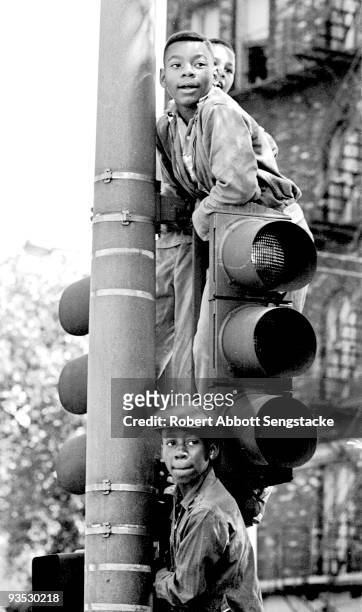 Three boys clamber up a traffic light to get a good view of the Bud Billiken parade, Chicago, IL, 1968.