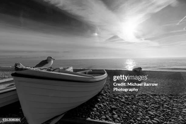 english seascape with boat and seagull - budleigh stock pictures, royalty-free photos & images