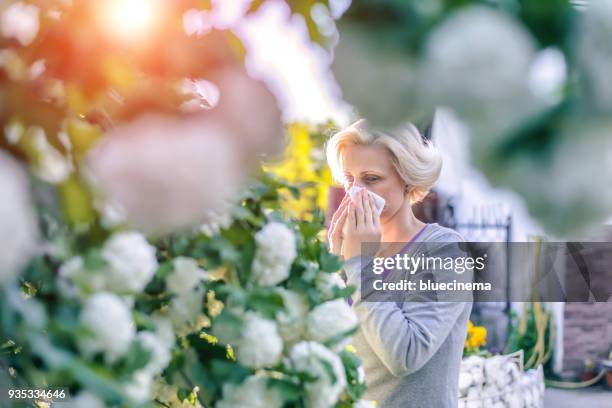 vrouw niezen in de bloeiende tuin - hayfever stockfoto's en -beelden