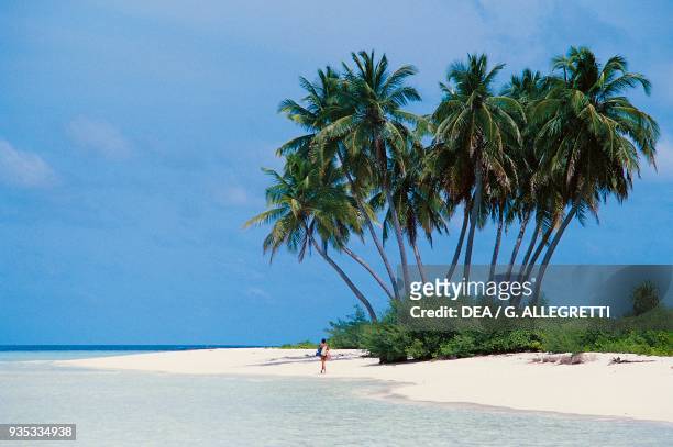 Tropical beach, South Male Atoll, Maldives.