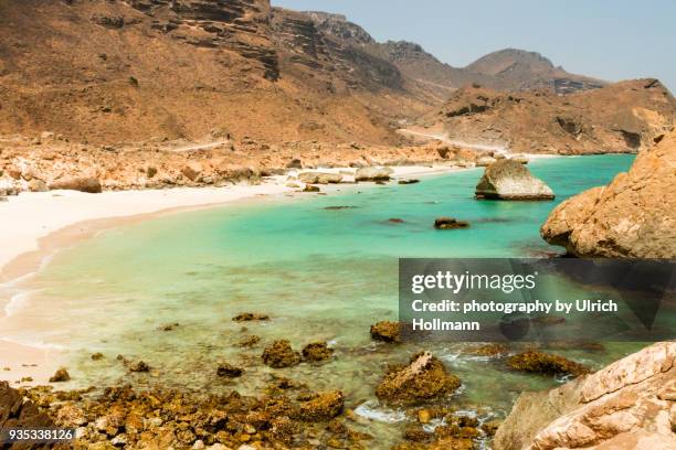 beach near salalah, dhofar, oman - salalah stock pictures, royalty-free photos & images