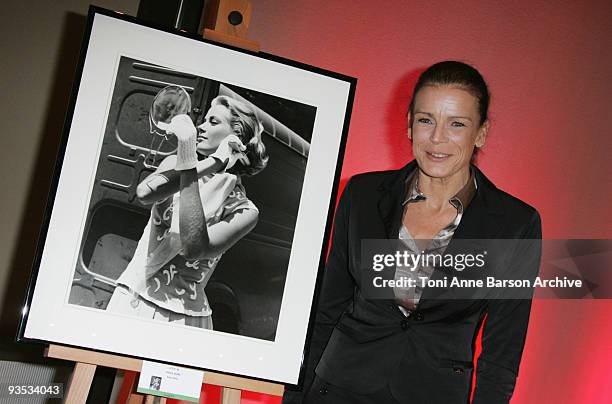 Princess Stephanie of Monaco attends the Gala and Auction for Fight Aids Monaco at the Meridien Beach Plazza on December 1, 2009 in Monte Carlo,...