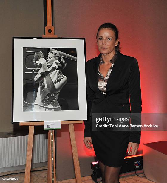 Princess Stephanie of Monaco attends the Gala and Auction for Fight Aids Monaco at the Meridien Beach Plazza on December 1, 2009 in Monte Carlo,...