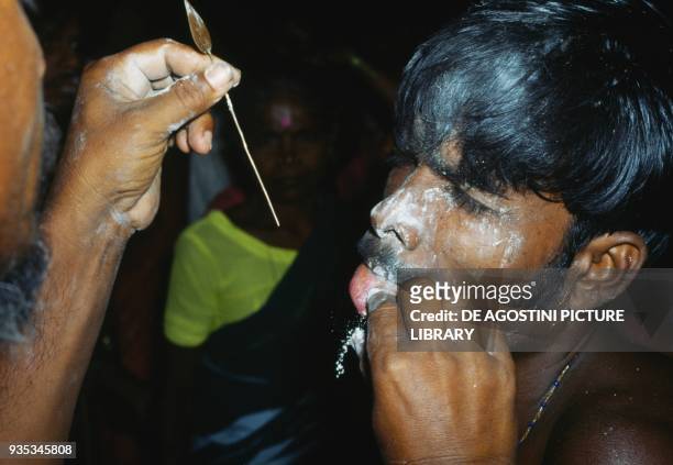 Penitent having his cheeks and tongue pierced with a pin by a priest during the feast of the God Skanda, Kataragama, Sri lanka.