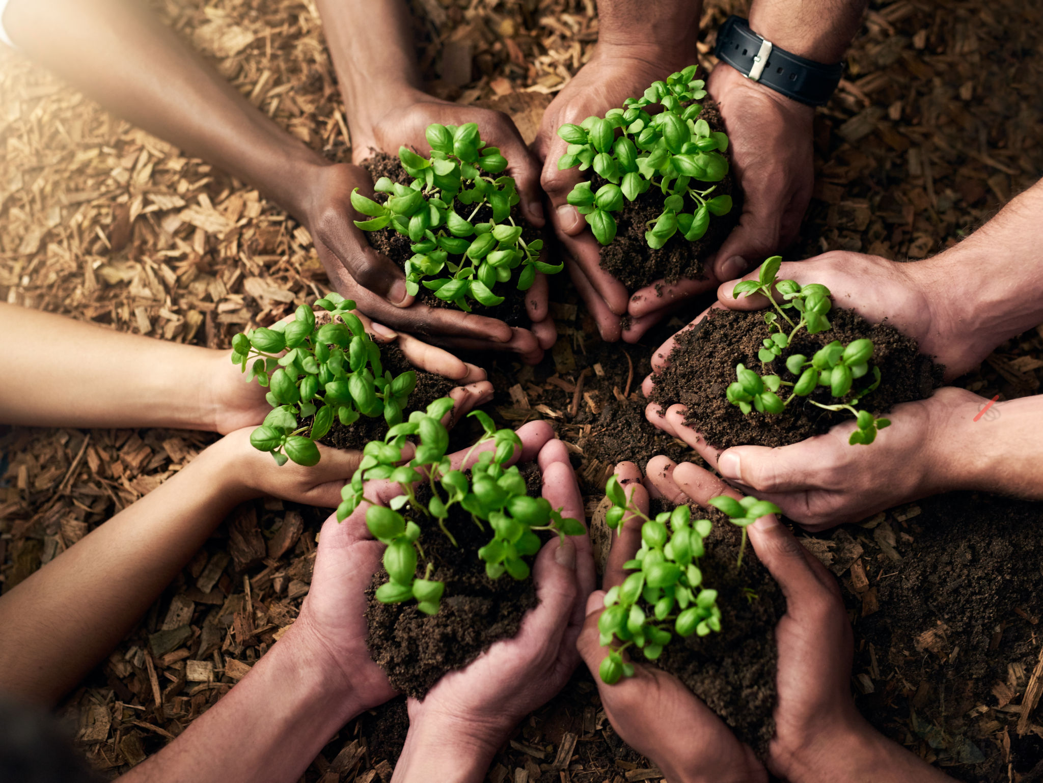 agriculture success