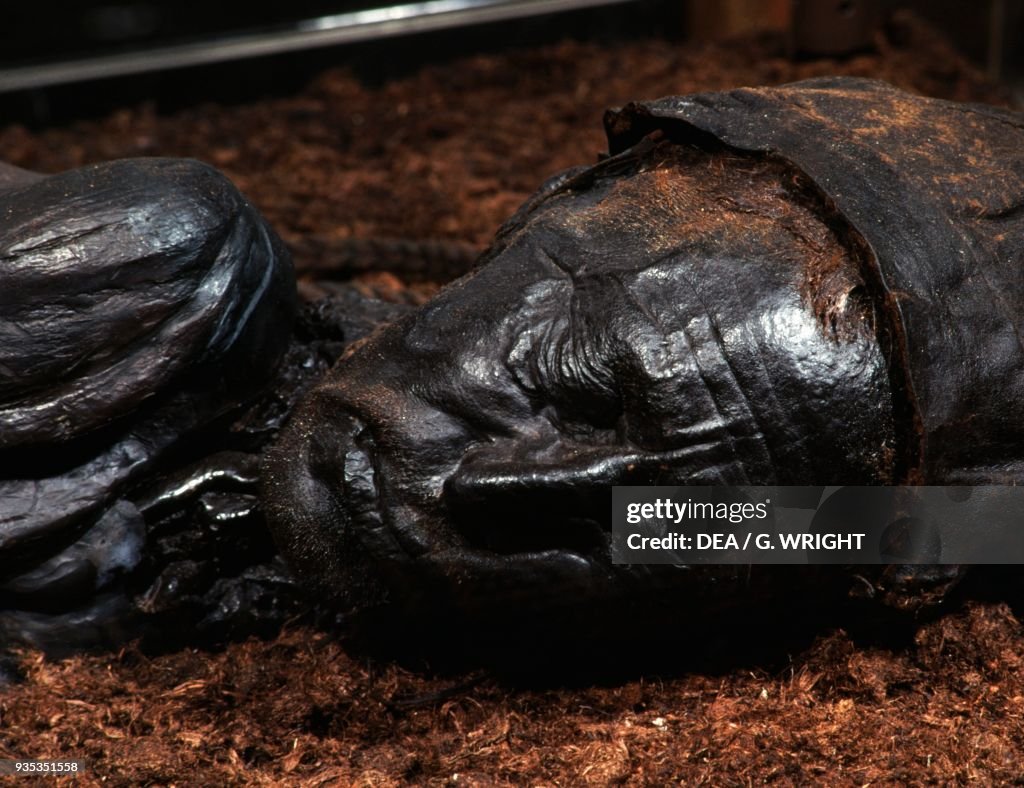 Tollund Man, naturally mummified corpse of a man