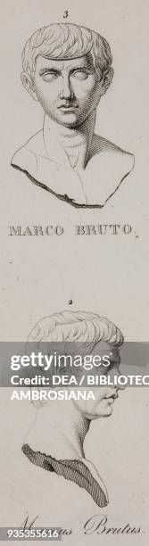 Bust of Marcus Brutus, illustration from Roman iconography, Volume 1 by Ennio Quirino Visconti , with plates drawn and engraved by Antonio Locatelli .