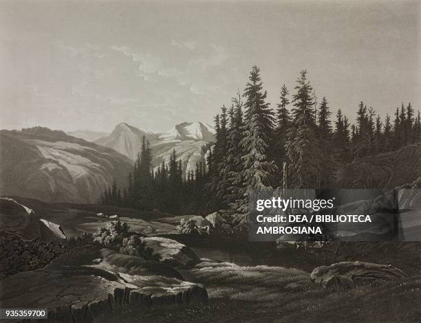 Landscape, engraving by Cherbuin from a painting by Alexandre Calame, from the Album: Exhibition of Fine Arts in Milan, 1845.