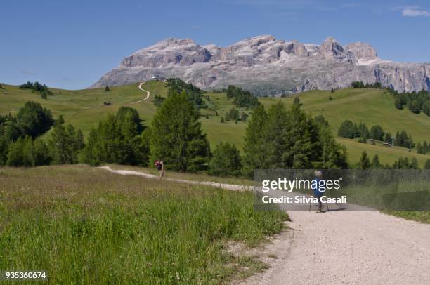 summer walk on the dolomites - silvia casali stock pictures, royalty-free photos & images