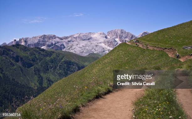high trail on italian alps - silvia casali stock pictures, royalty-free photos & images