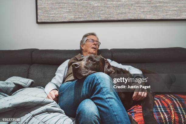 senior man asleep on sofa with pet dog - nickerchen stock-fotos und bilder