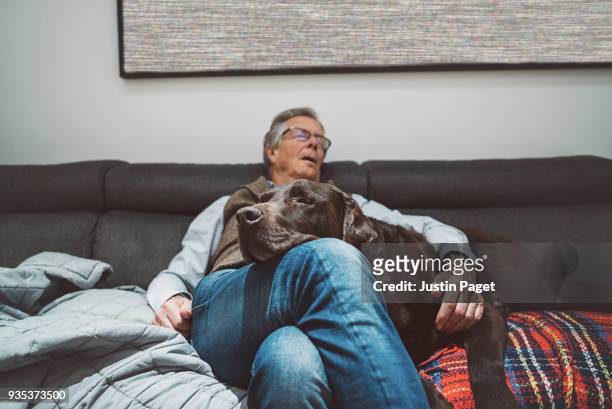 senior man asleep on sofa with pet dog - man middelbare leeftijd woonkamer stockfoto's en -beelden