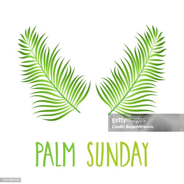 palm sunday poster on white background. hand lettering. handwritten text. vector illustration. - palm sunday stock illustrations