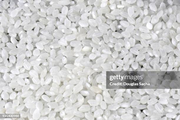 full frame of sushi rice - kortkorrelige rijst stockfoto's en -beelden