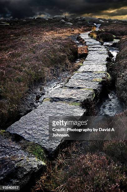 path - stepping stone top view stock pictures, royalty-free photos & images