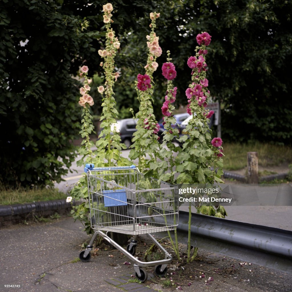 Nature vs Commerce
