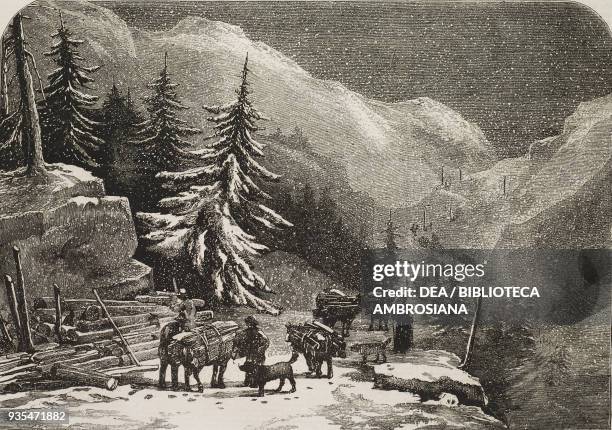 Loading wood for the Hospice near St Pierre, the ascent of the Great St Bernard, from a drawing by G Barnard, illustration from the magazine The...