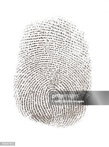 thumbprint or fingerprint - fingerprint stock pictures, royalty-free photos & images