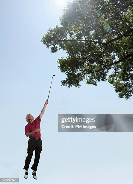 golf trying to reach ball in tree - golf ball in air stock pictures, royalty-free photos & images